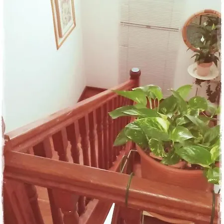 Apartman Centar *
